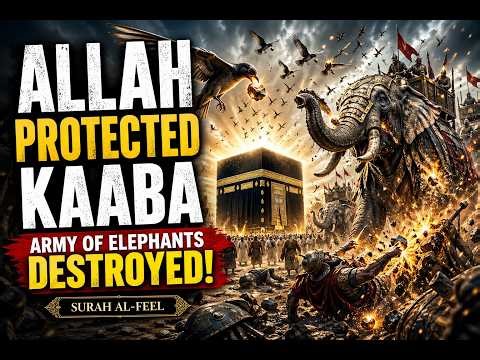ALLAH Protected the Kaaba! 🔥 Destruction of the Elephant Army | Surah Al-Feel