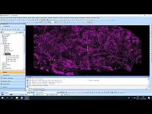 Tutorial Import Data Kode Point dengan Minescape