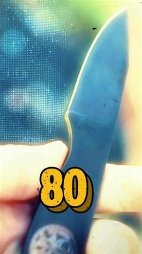 Check Out The First Ridge Runner Blades Knife