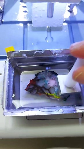 One of my favourite jobs in the lab! #science #pathology #histology #learnontiktok #medicine #biomedicalscience