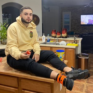 fqnos - Twitch