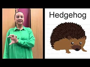 Autumn - Signalong video - how to sign - ‪@Thelittlesigningworkshop‬