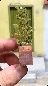 19K views · 6K reactions | Criando mundos com as mãos   . . Para comprar nossos produtos acesse o link na bio@criandominimundos . #arte#artesanato #miniaturas #diorama #modelmaker #art#minimundo | Criando Mini Mundos | Facebook