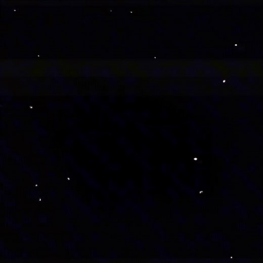 Daniellecohn on TikTok