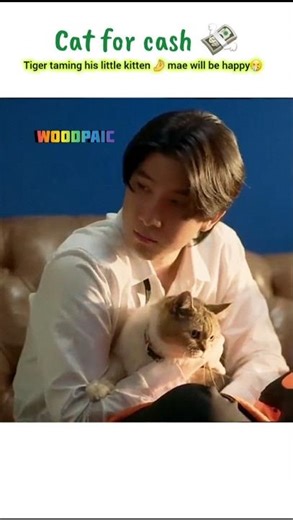 cat for cash ep 1 💸 love in blink 😉 #catforcash #bl #woodpaic #blseries #firstkhaotung #khaotung