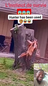 1.9M views · 10K reactions | Quand tu es en face de la...