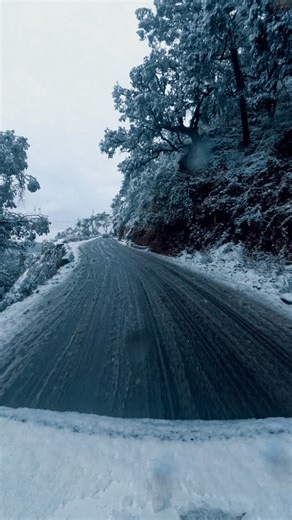 Devashish on Instagram: "Mussoorie in its element. ❄️ Chasing peaks, catching flakes, and living for this mountain glow. 🏔️✨ #mussorie #snowfall❄️ #travel #january #dhanaulti"