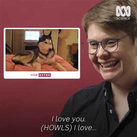 We don't deserve dogs 😭🐶 | ABC Science