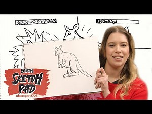 How To Draw A .. KANGAROO! | Earth Sketch Pad | BBC Earth Kids