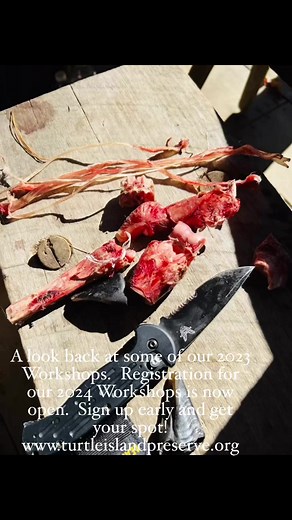 3.4K views · 65 reactions | Turtle Island Preserve on Reels | Facebook