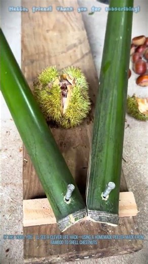 Bamboo Chestnut Peeler: Easy Shelling Life Hack