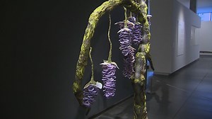 Tacoma Art Museum’s new Benaroya Wing spotlights glass art