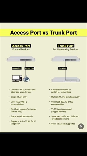 Access Port vs Trunk Port!!!✨✨