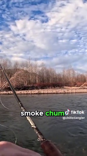 El Ciclo de Vida del Salmón: Del Océano al Río