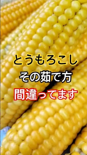 【とうもろこし】甘みとシャキシャキ感を残す美味しい茹で方の裏ワザ #雑学 #プチ知識 #とうもろこし