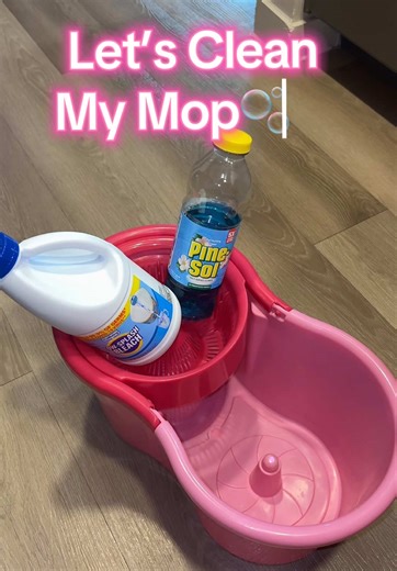 A Little Mop Soak 🙃 Sound Is On ✅ How Has Everyone Been ?🤨 Miss Me ? 🥰#fyp #cleantok #asmr #mop #clean ✨🫧