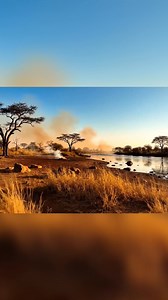 A glimpse into the past: early humans wade through a shallow river, carrying baskets across the savanna. Life was a daily journey. Survival depended on community. #EarlyHumans #SavannaLife #AncientHistory #HumanEvolution | Sapien Cinema