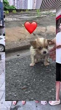 Emma Gets Magic Slim Dress😱~mini woodworking art skill /wood/ handcrafts/#shorts​ #entertainment​