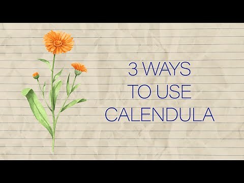 Herb Notes: The Medicinal Benefits of Calendula