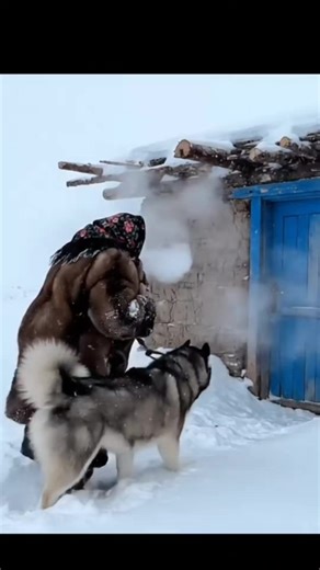 Exploring AI in Cooking: A Unique Perspective