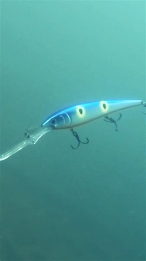 Gold Miner 30🔥 #rapala #youtubeshorts