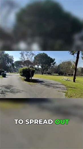 Uncover the Charm of Kern River Campground #outdoors #camping