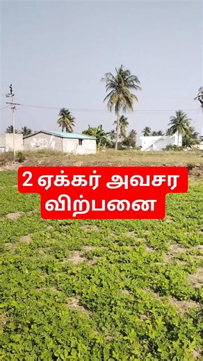2 ஏக்கர் அவசர விற்பனை மிகக் குறைந்த விலையில் #farming #lowbudget #agriculture