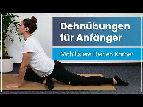 Dehnübungen für Anfänger ➡️ 15 Minuten Stretching von Kopf bis Fuß