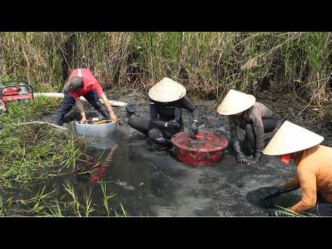 1827 / Phát hiện cái ao giữa khu đất hoang rất nhiều cá