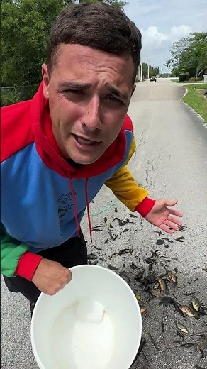 CATCHING COLORFUL FISH FOR PRIME