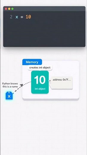 Python variables hold objects not values - Python Tutorial for beginners #programming #coding