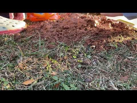 At home, easy volcanic explosion