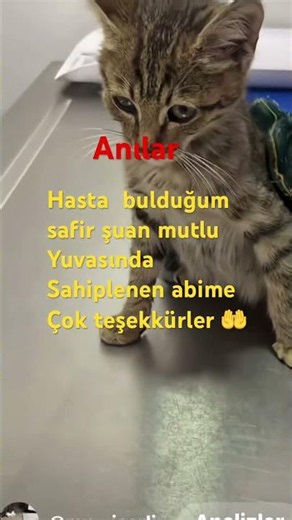 26 Mayıs 2026