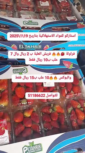 Starco Starco على TikTok