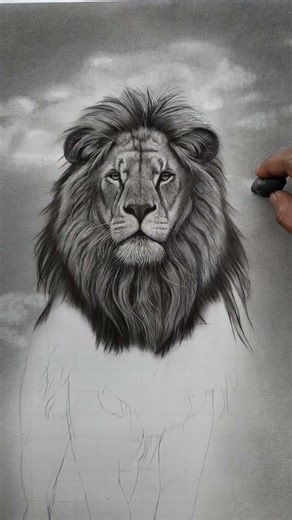 How to Draw a Realistic Lion Background #art #charcoaldrawing #drawing #charcoalart #pencildraw