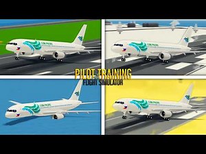 Landing at EVERY Airport in PTFS!