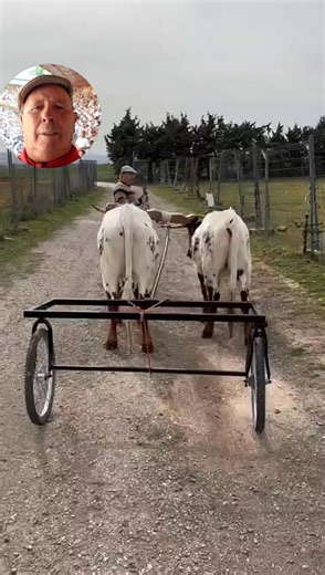 48K views · 841 reactions | Jose García Jiménez on Reels | Facebook