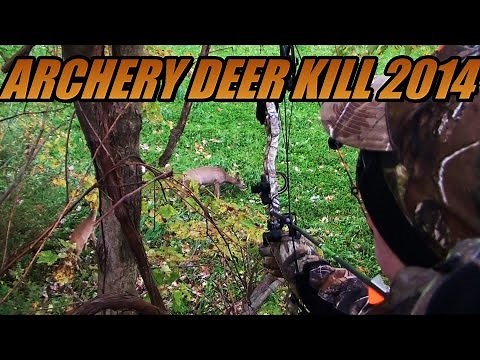 Compound Bow Deer Hunt Archery Kill 2014