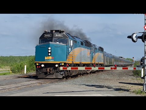 Every Weird Sight In One: VIA Rail F40PH-2D's Take Off Leading "The Canadian" With Huge Smoke Show!