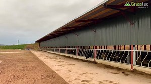 300 cow cubicle shed with a 1,000,000 gallon slurry lagoon. Design and planning completed by our Farmyard Design Department. | Grasstec