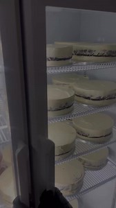 8.5K views · 300 reactions | Today we finally delivered the 50 x single tier wedding cakes and it came in on Wednesday evening and glad we managed to push through for today and we did it yasss . Big Fa’amalo to my caking team in making sure we have the cake ready by 4pm at the venue | TEN BELOW SHACK | Facebook