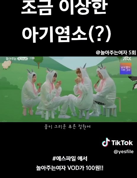 예스파일과 놀아주는여자 다시보기
