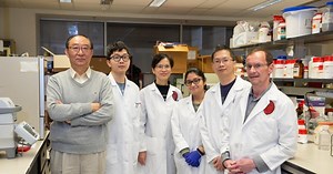 Researchers at UC developing technology that regenerates portions of the heart damaged in heart attack