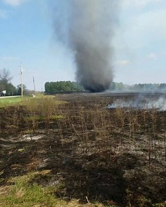 20K views · 263 reactions | Dust devils occur when a land surface heats rapidly - in this case during one of our prescribed burns a few weeks ago! #LeadingYouOutdoors | Polk County Conservation | Facebook