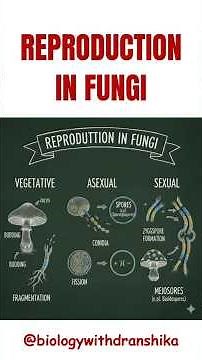 Reproduction in fungi: life’s cycles in the fungal world.🍄 #reproduction #fungi #life #biology