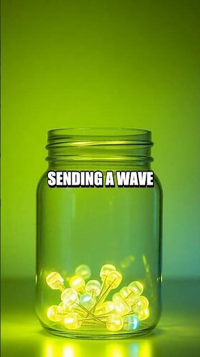 The Night Parade of Synchronized Fireflies A Tiny Light Experiment