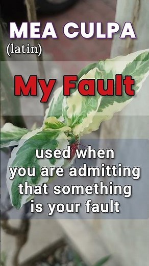 Mea Culpa #meaculpa (latin) My Fault #english #vocabularywordsenglishlearning #news