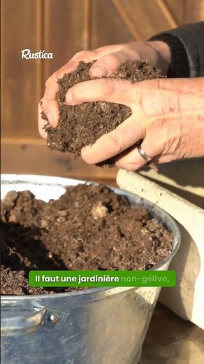 Create a beautiful winter planter