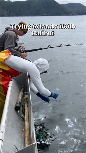 Large Alaskan Halibut 🤯 Send us a message or give us a call to start planning your trip. We are currently booking for 2026 📆 📞- (360)556-8656 📧- outerlimitsalaska@gmail.com 📱- www.outerlimitsalaska@gmail.com #halibut #alaska #barndoor #outerlimits | Outer Limits Charters