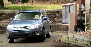 Two Dogs Pull Up To The Drive Thru, Realize They Should’ve Just Gone Inside